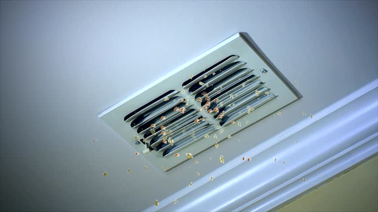 Home Air Vent Cleaning in Anza, CA