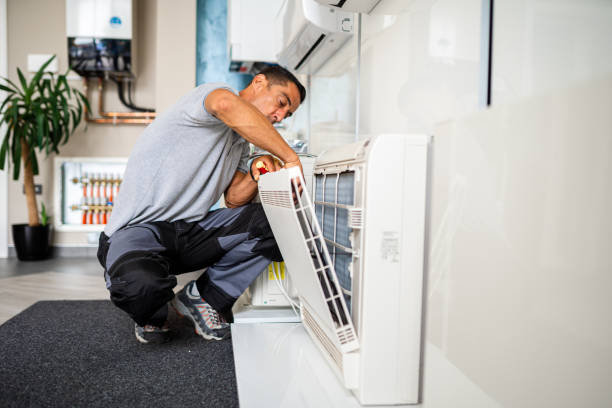 Best Ductwork Cleaning Services  in Anza, CA
