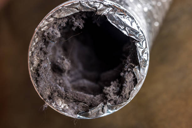 Best Local Air Duct Cleaning Services  in Anza, CA