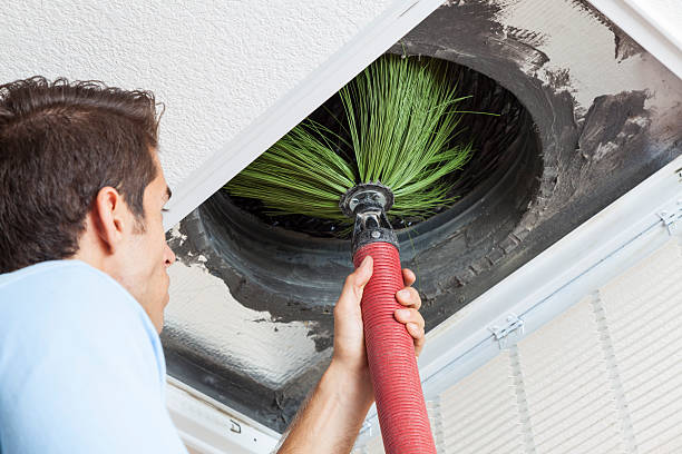 Best Home Air Vent Cleaning  in Anza, CA
